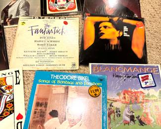 Eclectic Vinyl Record Lot – Lou Reed, Mrs. Miller, Blancmange, The Fantasticks & More