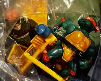 Teenage Mutant Ninja Turtles
