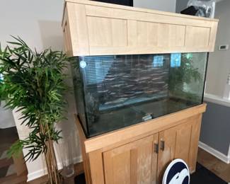 Large fish tank
