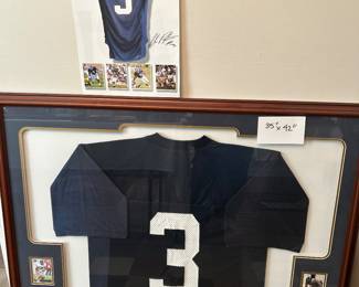 Adrian Peterson
Autographed jersey