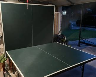 Ping pong table