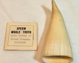 Sperm Whale Tooth https://www.auctionninja.com/stress-free-estate-services-llc/sales/details/collectors-cache-auction-coins-vintage-toys-jewelry-collectibles-ephemera-silver-and-more-no-reserves-shipping-available-or-alton-nh-pickup-36.html?an=pptvtd