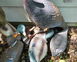 Decoys