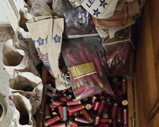 More shotgun shells