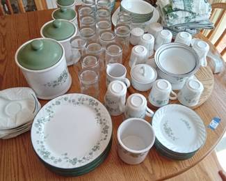 Corella Ivy Pattern dish set plus