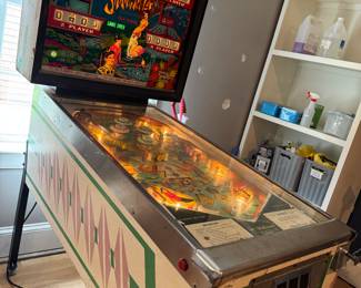 Shandgri-la pinball machine 