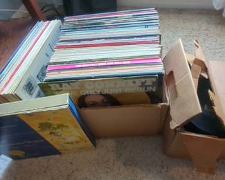 Mystery Record Lot