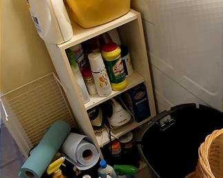 Mystery Cleaning Supply Lot
