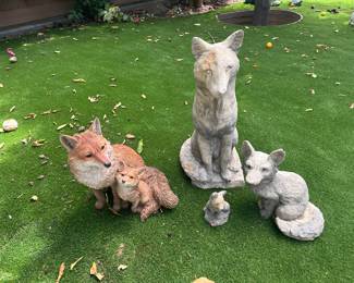 Out door foxes