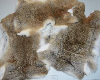 lot of 3 brown/white rabbit furs