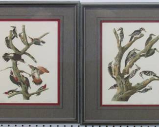 9037 - SET OF 2 WOODPECKERS BY JOHN J AUDUBON 15.5 X 17.5