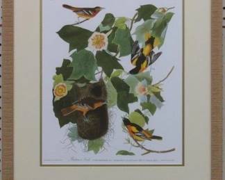 9039 - BALTIMORE ORIOLE BY JOHN J AUDUBON 20.5 X 25.5