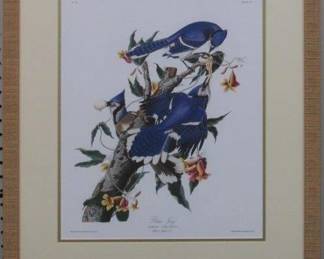 9040 - BLUE JAY BY JOHN J AUDUBON 20.5 X 25.5