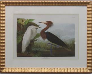 9051 - LOUISIANA HERON BY JOHN J AUDUBON 26 X 22.5