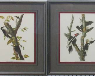 .9036 - SET OF 2 WOODPECKERS BY JOHN J AUDUBON 15.5 X 17.5