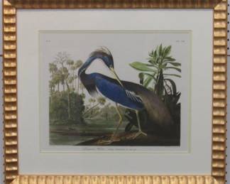 9050 - PURPLE HERON BY JOHN J AUDUBON 29 X 22.5