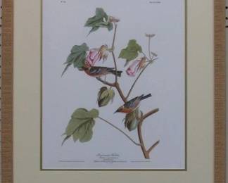 9041 - BAY BREASTED WARBLER BY JOHN J AUDUBON 20.5 X 25.5