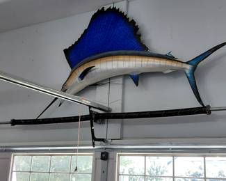 OUTSTANDING local caught Sail fish! Captured at maker 14 on the way to Big Rock! In Moorehead City.