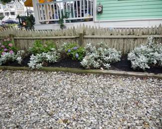 Plants