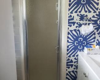 Glass shower door