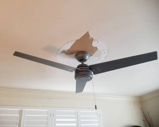 Ceiling fan
