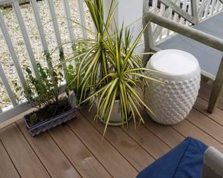 Plants; garden stool
