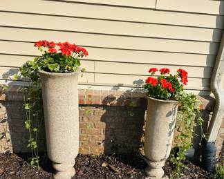 Large cement planters