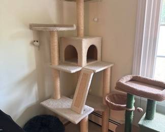 cat tree