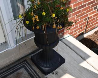 611Front Yard