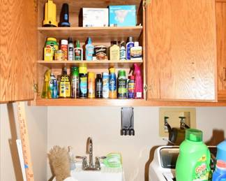 442Laundry Room