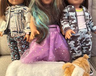 American Girl Dolls and Sleeping Bag