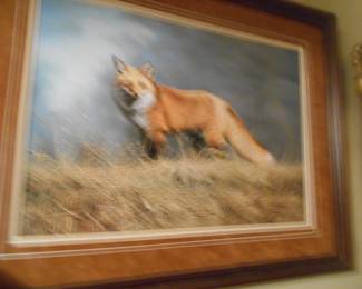 Charles Frace red fox