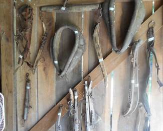 old horse items