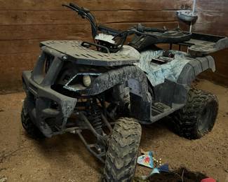 TaoTao 4 wheeler #1… as is & nerds work…$500