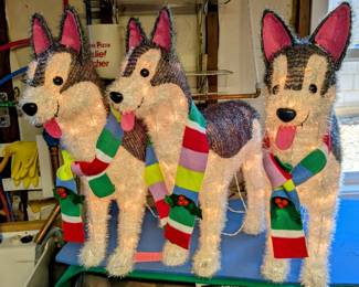 Huskies Xmas lights