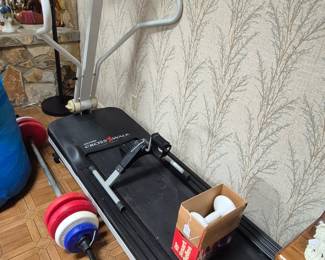 Weights, Floor Lamps, treadmill