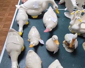 Geese and ducks