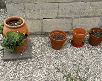 Flower pots, plants, outdoor lawn ornaments