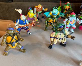 Teenage Mutant Ninja Turtles collection