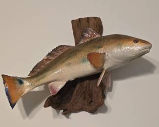 Redfish Mount