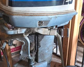 Evinrude 25 Boat Motor