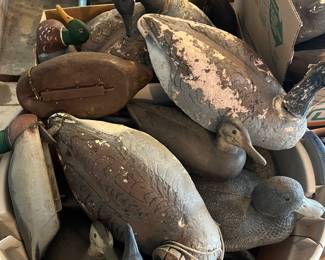 Many duck and Canada goose decoys.