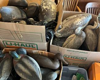 Many duck and Canada goose decoys.