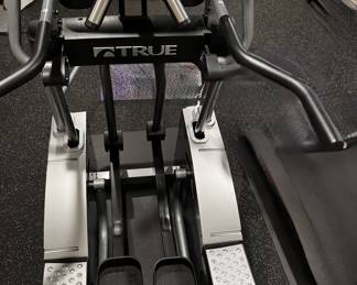 True elliptical - ESX