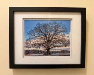 Winter Tree Print
