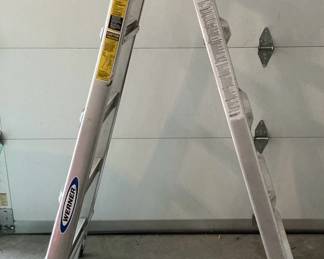 Werner 21 Ladder