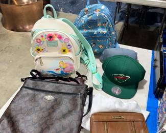 Disney, Coach and Michael Kors Orlando Estate Auction