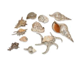 161
A collection of silvered seashells
20th/21st century
One marked on applied button: Verdura / Made in Italy
Comprising various shells including conch and snail, twelve with sterling silver plating and five with nickel-copper plating
17 pieces
Largest: 8" H x 10.5" W x 9" D; Smallest: 1.5" H x 2" W x 3" D
Estimate: $1,200 - $1,800