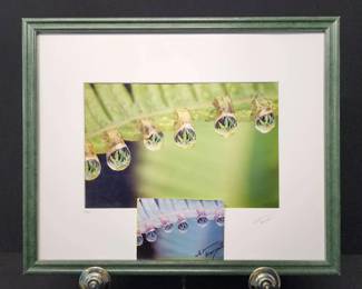 Stunning Water of Life by Whit Bronough Signed, Framed  Impeccably Presented
