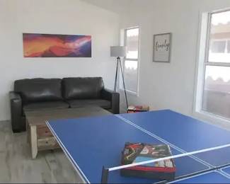Ping Pong Table 
